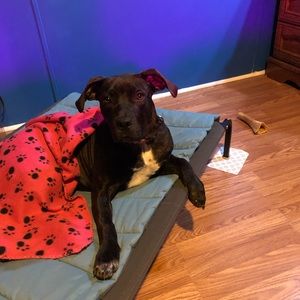 Meet your Posher, Kimberly